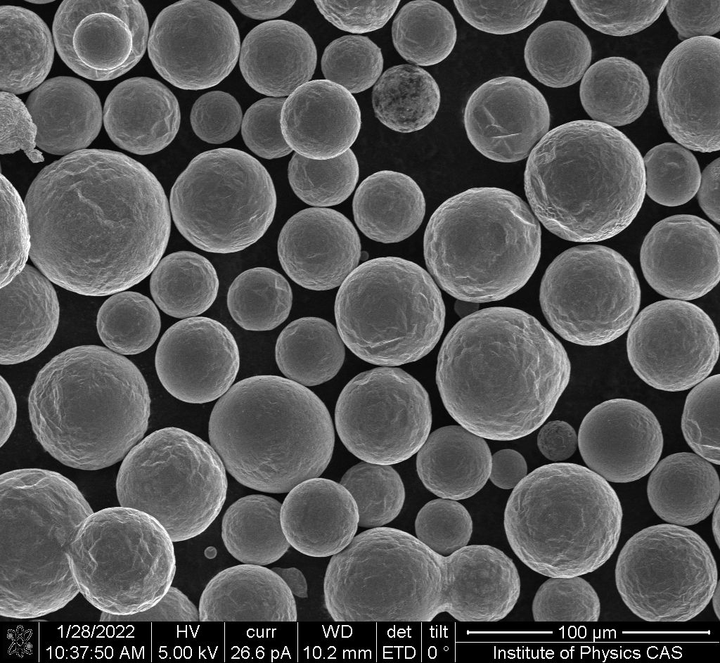 Mentors guiding us - placeholder particle-size image