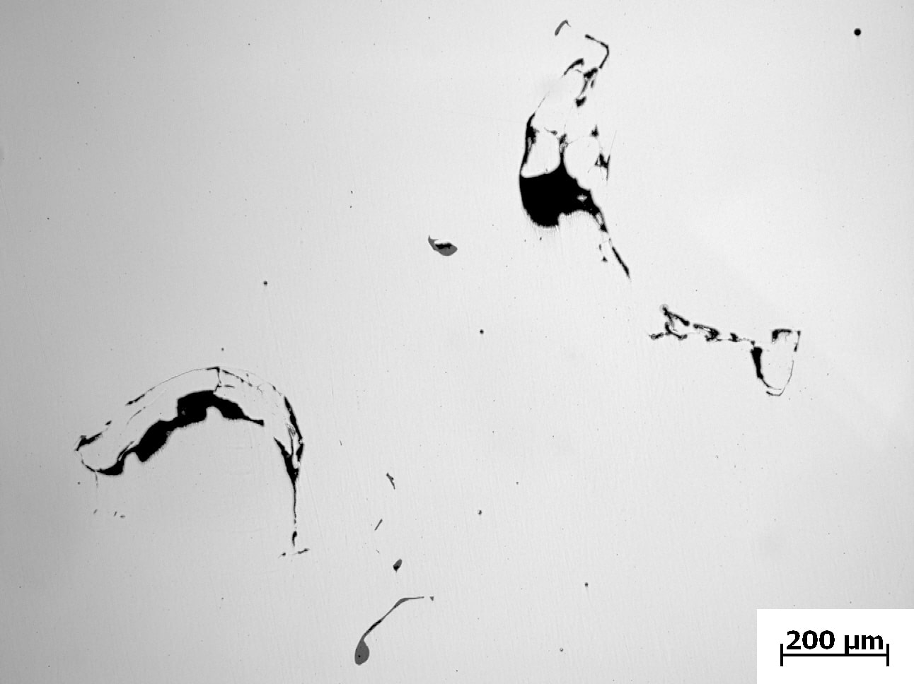 Porosity-Mini microscopic image